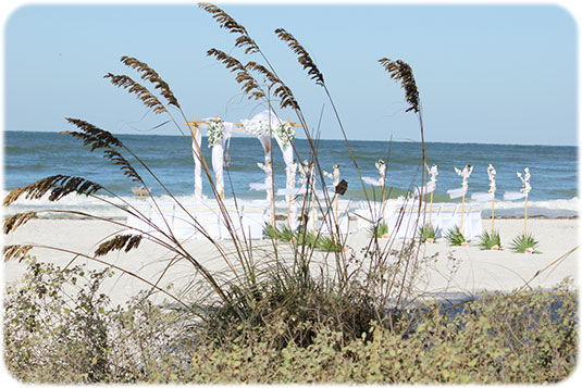 Traum-Hochzeit in Florida.